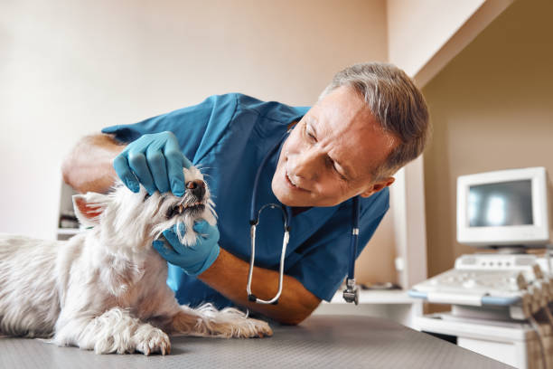 Best Cosmetic Emergency Dentistry in Buena Vista, GA